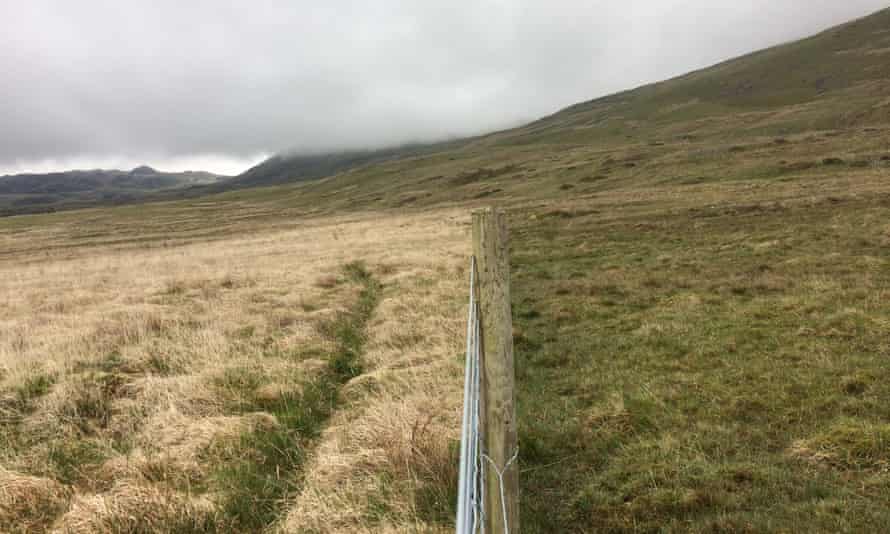 A hillside fence shows the stark contrast between grazed and ungrazed land