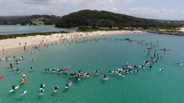 Scientists, local businesspeople and members of the Nature Coast Marine Group paddle out to inspect Batemans marine park