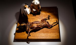 Cuy or guinea pig is one of Peru’s most famous dishes, eaten grilled, smoked or fried.