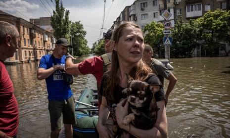 Ukraine war: saving animals from the flood waters of Kherson – video