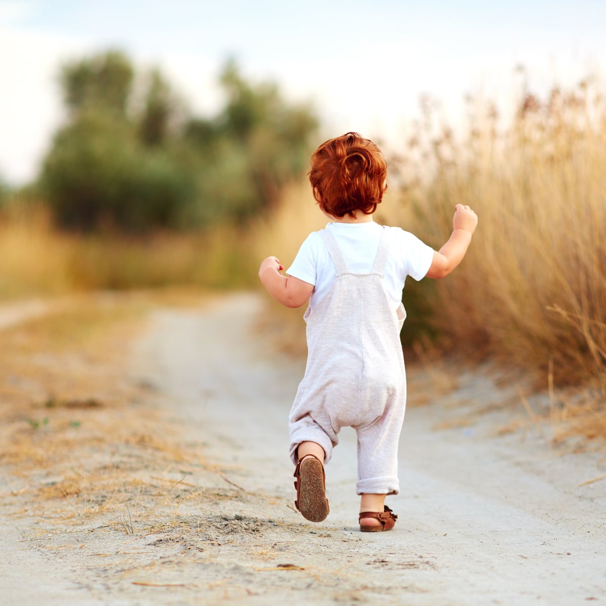 A Toddler : Newborn Infant and Toddler Health