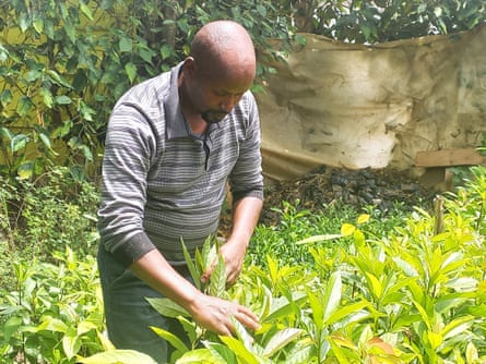 'Ajudou-me a alimentar os meus seis filhos': como o primeiro fundo de água de África apoia os agricultores a...