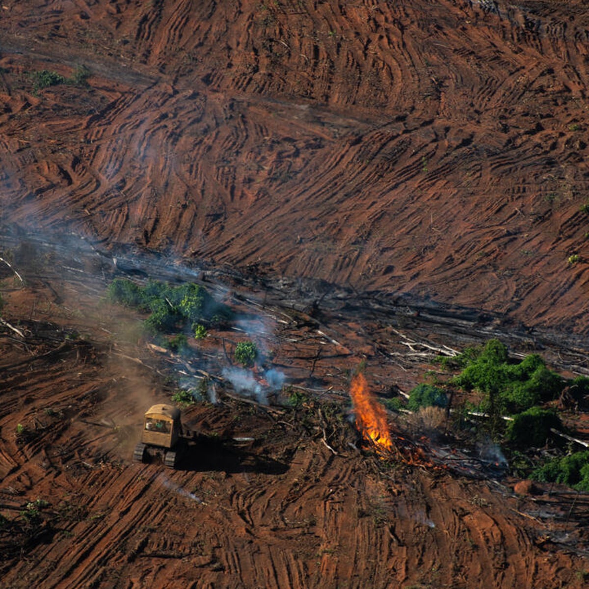 Illegal mining is on the rise in Brazil thanks to TikTok - Rest of
