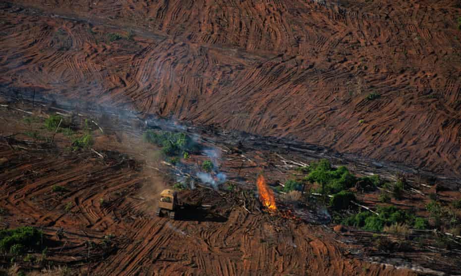 More than 11,000 sq km of rainforest was destroyed in Brazil between between August 2019 and July 202o, official figures show. 