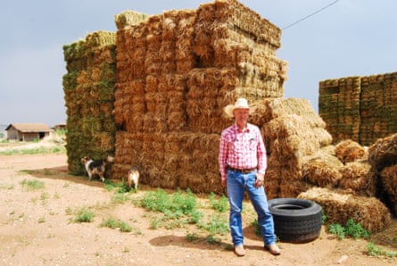 Link Chynoweth on his farm in Escalante.