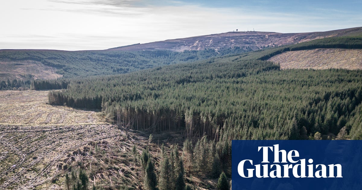 Commercial forests and biodiversity claims | Letters