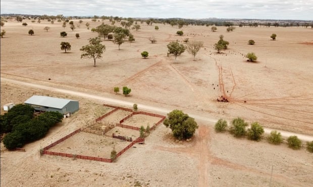 Drought-stricken farm in NSW