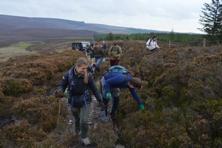 Young people working among heather