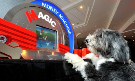 Hugo, a bearded collie, in a Metro Bank branch