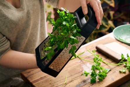 Parsley being picked using a box grater to thread the stems and separate the leaves. 