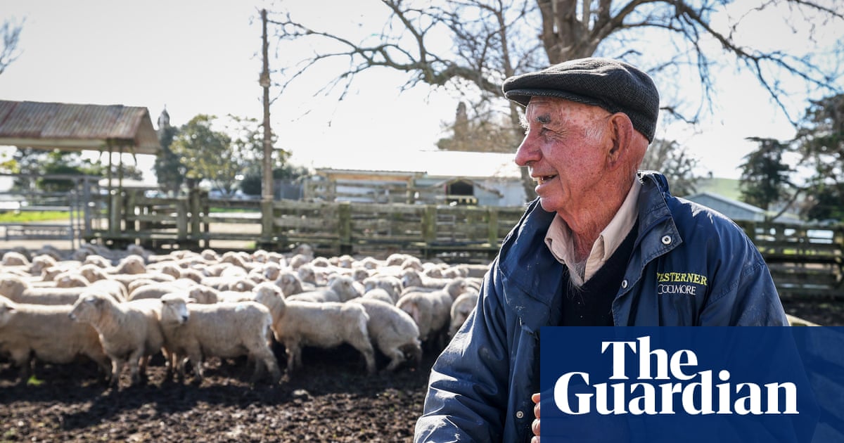 After decades of decline, New Zealand’s wool industry is making a comeback