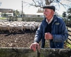 After decades of decline, New Zealand’s wool industry is making a comeback