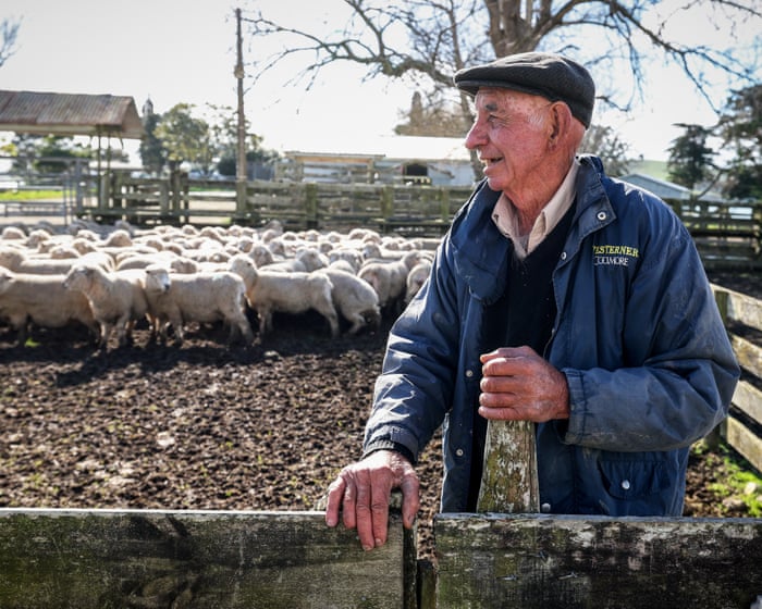 After decades of decline, New Zealand’s wool industry is making a comeback