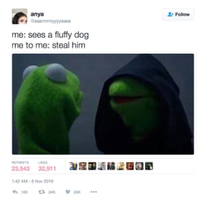 Scarica Gratis Images Of Muppets And Millennials Evil Kermit Speaks For A Generation le plus cool par