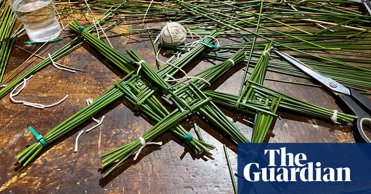Country diary: A night of renewal before the start of Celtic spring | Mary Montague