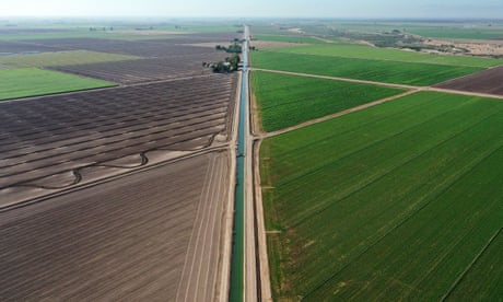 aerial view of fields