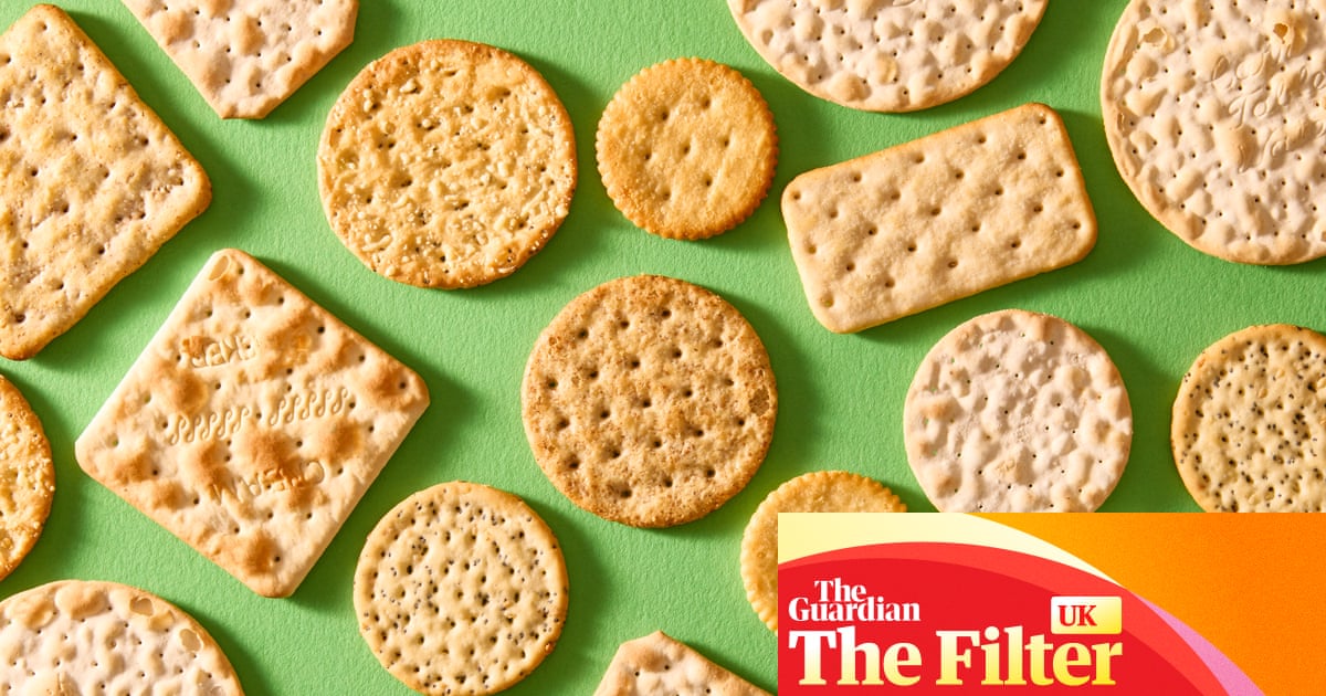 ‘Firm, snappy texture’: the best supermarket crackers for cheese, tasted and rated