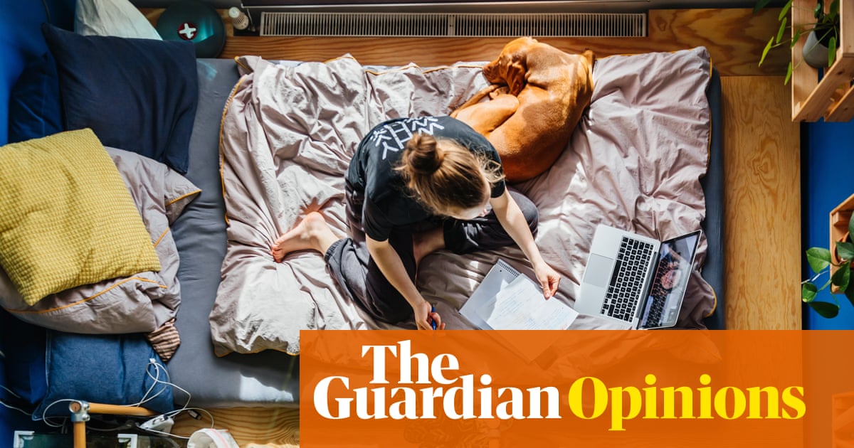 I never thought I’d say this, but I now understand the appeal of home schooling