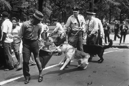 Police Dog Rips the Trouser of a Protester.Birmingham, Alabama. 1963
