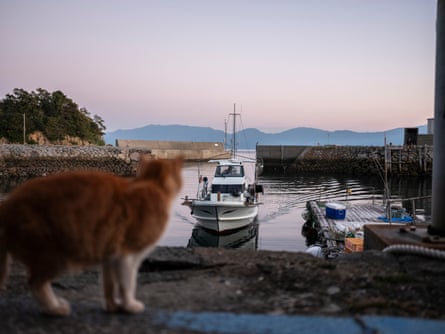 On the port, a hopeful cat watches Mr Kamimoto return from his fishing trip.