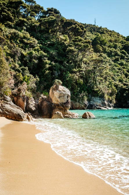 A cove in Abel Tasman national park