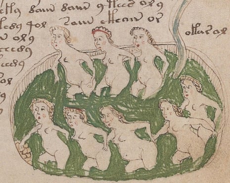 A page from the Voynich manuscript.