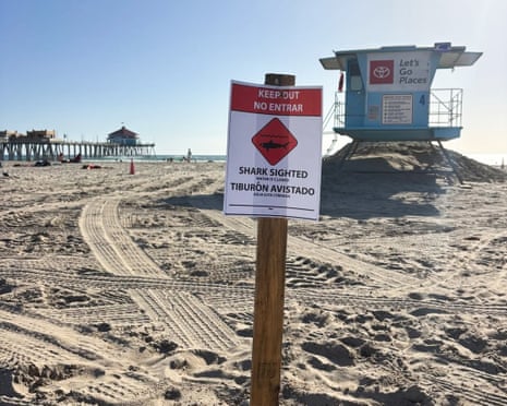 A sign on a beach near a lifeguard tower warns of a shark sighting