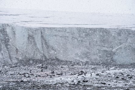 Collins Glacier on a snowy day