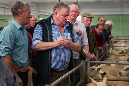 Buyers and farmers at Hereford Market, July 2019