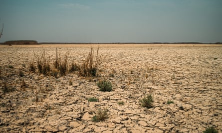 The Huwaiza marsh, once teeming with wildlife, has dried up.