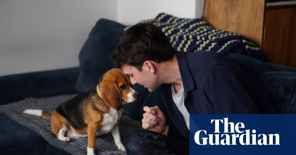 Gene-edited beagles may offer a future option for people with dog allergies