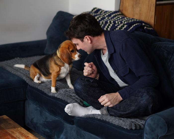 Gene-edited beagles may offer a future option for people with dog allergies