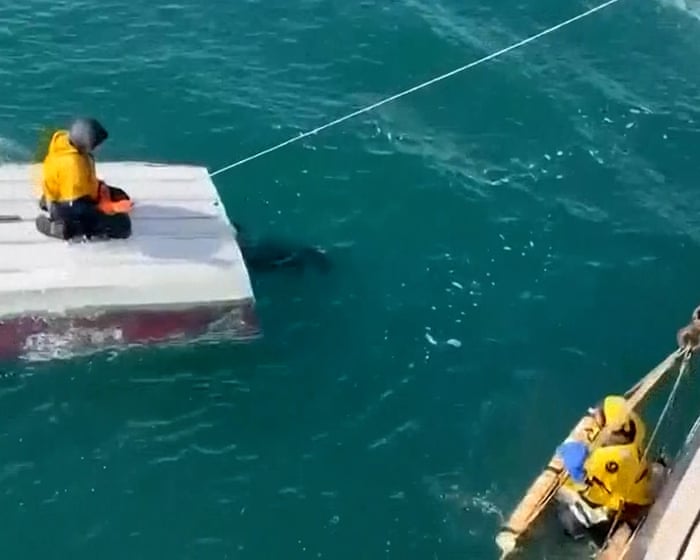 Tragedy at Sea: 15-Year-Old Rescued After Days Adrift in Bering Sea