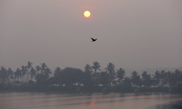 Wetlands, Kolkata.