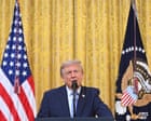 Trump has declared war on elections in the name of protecting them | Austin Sarat