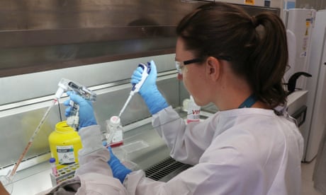 Scientists at work in the a lab