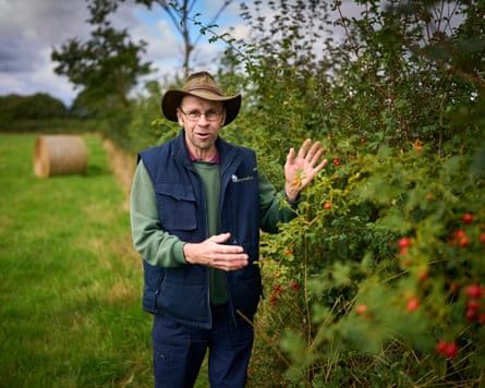 Robert Rose gestures toward a hedgerow