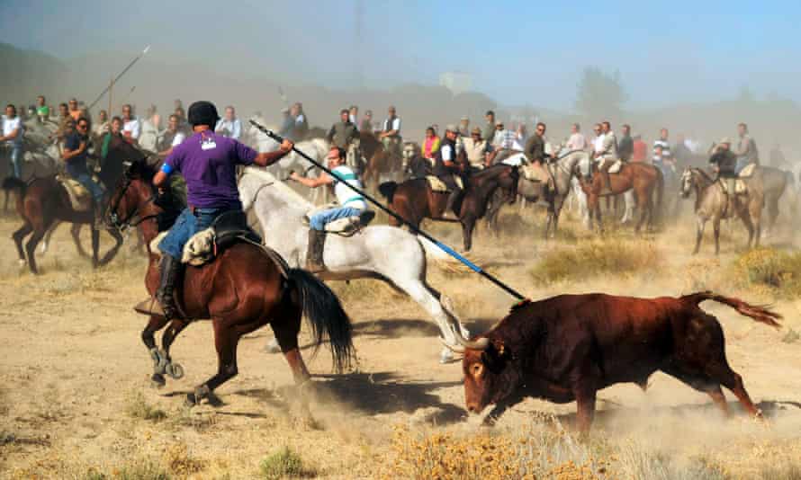 Bull Spearing Outlawed By Spanish Regional Government Bullfighting The Guardian