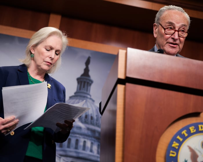Top Democrats set aside qualms and embrace progressive Abdul El-Sayed — image supplied by The Guardian US's feed