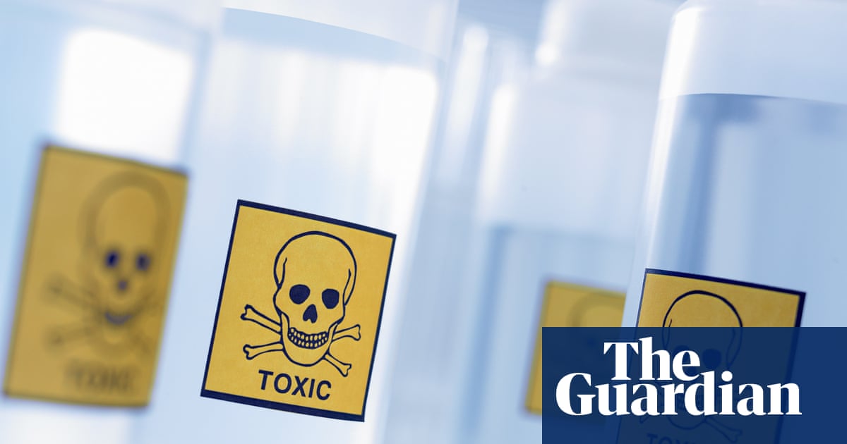 アニマルパック 韓国 ニュース 痛い ニュース Sarah Smith