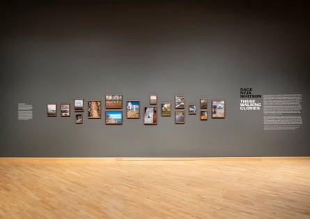 These Walking Glories