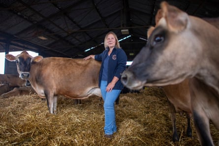 Rebecca Mayhew stands in hay inside a shed with one hand resting on a cow’s back, as another cow near the camera turns its head