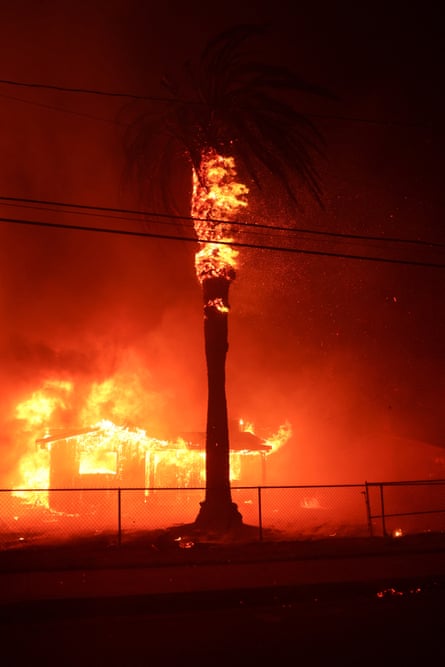 palm tree on fire and a home on fire behind it