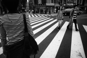 Zebra The City by Tadashi Onishi