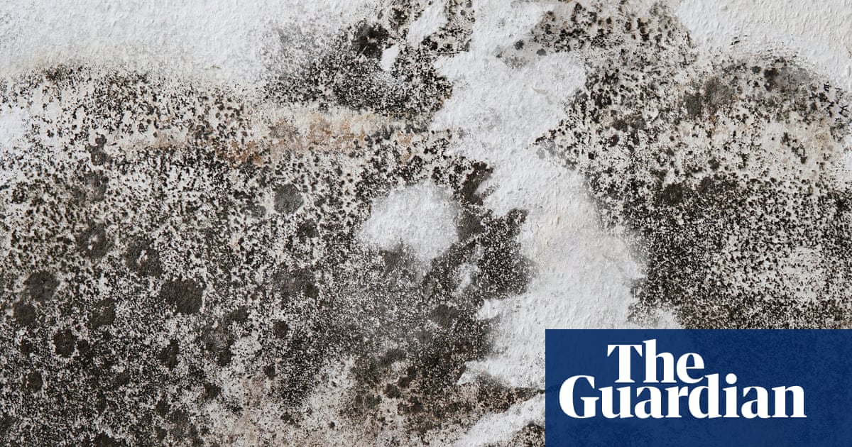 Mouldy Britain: a foolproof guide to rescuing your home from damp - The Guardian