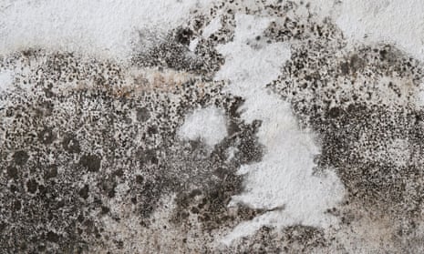 Mouldy Britain: a foolproof guide to rescuing your home from damp | Homes | The Guardian Mouldy Britain: a foolproof guide to rescuing your home from damp | Homes | The Guardian