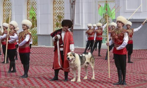 A puppy for Putin – but for dogs in Turkmenistan it's open slaughter |  Cities | The Guardian