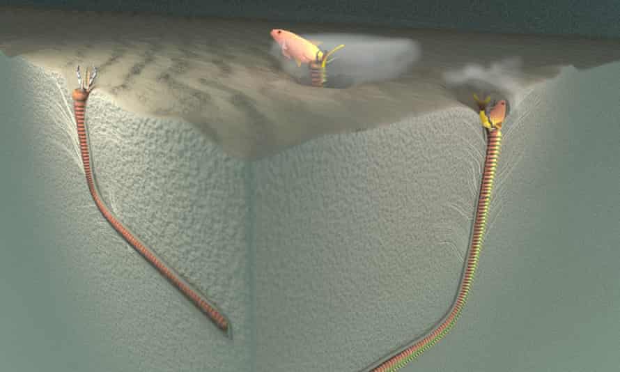 Obrázek ukazuje, jak červi mohli chytit svou kořist