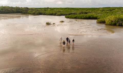 Aerial shot of a froup of five people walking through shallow wetlands