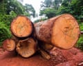 A logging truck deep in the jungle of Cameroon